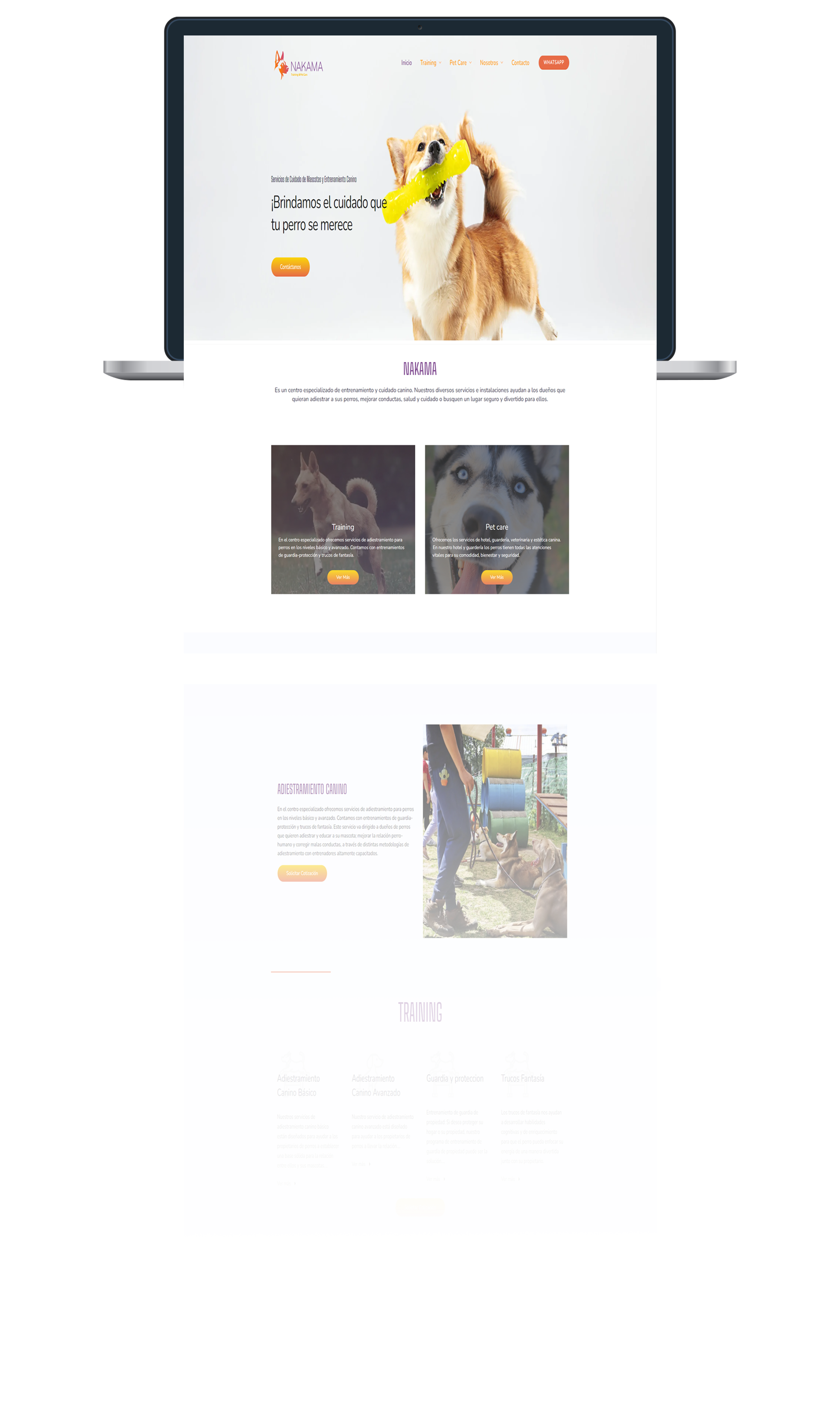 Sitio web ux y ui loro marketing digital